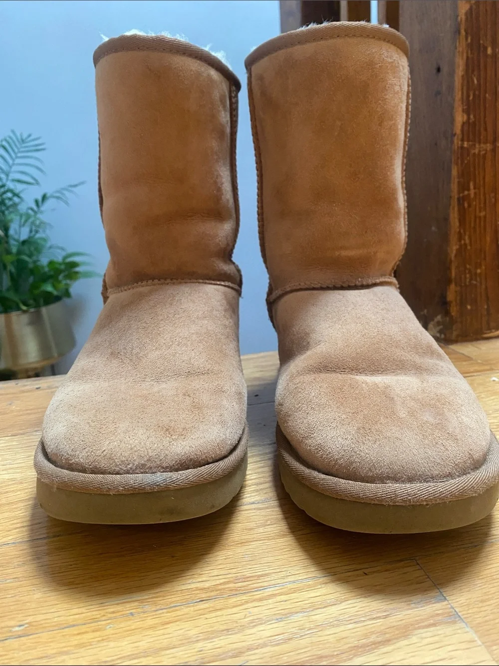 UGG Classic Short Boots - Chestnut Suede